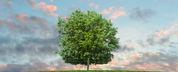 Why Eco-Friendly Dry Cleaning Is So Important